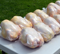 Emballage de biftecks de saumon congelés transparents de taille personnalisable film de thermoformage barrière de qualité alimentaire sac d'emballage rétractable pour volaille