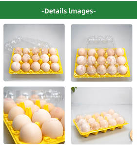 Bandeja de Plástico para 15 <span class=keywords><strong>Huevos</strong></span> con Tapa Separada y Embalaje Transparente de Grado Alimenticio para Protección de <span class=keywords><strong>Huevos</strong></span> de <span class=keywords><strong>Gallina</strong></span> y Codorniz - Product Image 6