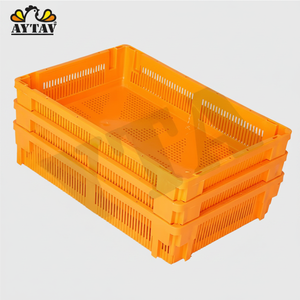 New PP <b>Plastic</b> Chick <b>Box</b> 80 Chick Capacity H Type Animal Cage for Farm Use AYTAV Long Service Life All Seasons 1 Year Warranty - Product Image 2