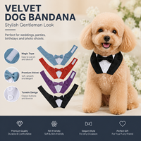 Bandana de mariage pour animaux de compagnie au design original, collier nœud papillon réglable pour chien, accessoire de mode pour la fête pour chat