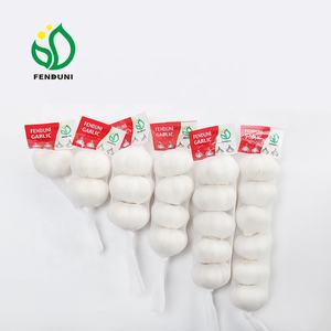 China/Chinese Fenduni Merk Verse Natuurlijke Knoflook-Nieuwe Oogst 40-70Mm Losse/Mesh Zak/Dozen Verpakking Hete Verkoop - Product Image 4