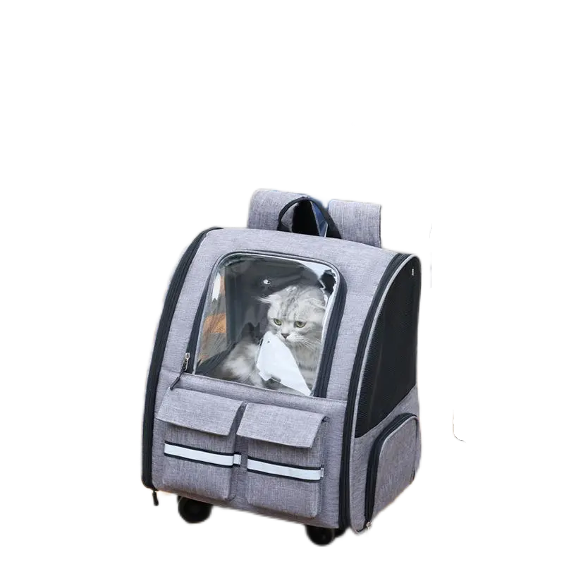 Sac de transport pour animaux de compagnie Petit chien Petit espace moyen Capsule Pet Carrier Outside Airline Approved Travel Cat Backpack Carrier