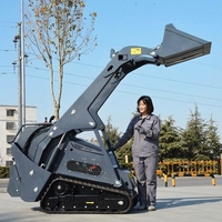 Mini-chargeuse compacte sur chenilles EPA Diesel pour travaux agricoles, de jardinage et de construction