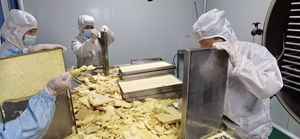 <span class=keywords><strong>OEM</strong></span> 6% 10-HDA arı sütü dondurularak kurutulmuş toz yüksek kaliteli arı ürün fabrika kaynağı toplu Premium arı sütü toz - Product Image 4