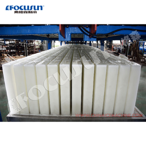 Machine industrielle de fabrication de blocs de glace, 30 tonnes par jour, de haute qualité, conçue sur mesure - Product Image 6