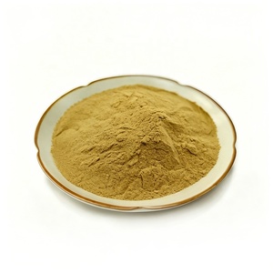 Natural <strong>Bacopa</strong> <strong>Monnieri</strong> Leaf <strong>Extract</strong> High Quality Water Soluble <strong>Bacopa</strong> <strong>Monnieri</strong> <strong>Extract</strong> Powder For Supplements - Product Image 4
