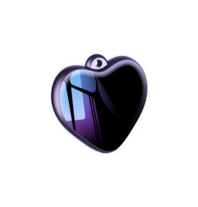 Collar <span class=keywords><strong>de</strong></span> cifrado <span class=keywords><strong>de</strong></span> archivos, grabadora <span class=keywords><strong>de</strong></span> <span class=keywords><strong>voz</strong></span> colgante, 4GB, 8GB, 64GB, precio <span class=keywords><strong>de</strong></span> fábrica, OEM - Product Image 2