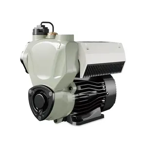 WZB40-600I 0.8hp ไฟฟ้าบ้านปั๊มน้ำกับอินเวอร์เตอร์