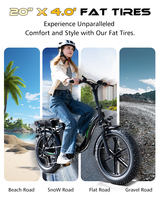 Vélo pliant KOOLUX BK6S PRO 250W Fatbike 40km/h Moteur arrière sans balais Batterie lithium 48V 13AH 6 vitesses Fer BK6S PRO Lithium