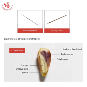 Kit Instrumen Biologi eksperimentalnya kualitas tinggi pengajaran sekolah dapat dikonsumsi berbagai jenis alat eksperimental - Product Image 5