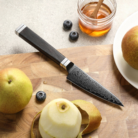 Luxe Damascus staal titanium geplateerde fruitmesjes met ebbenhouten handvat