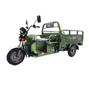 Hot Selling New Design V28 Two Person Tuk Bajaj Re Accessory Tok 2021 Cheap Cargo Sale Electric Tricycle Trike