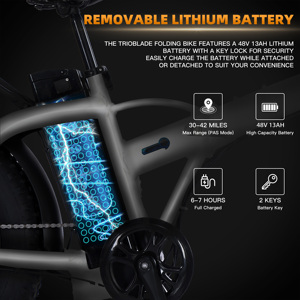 Vélo électrique pliable TRIOBLADE avec système <span class=keywords><strong>de</strong></span> transmission à 10 vitesses en alliage d'aluminium, vélos électriques <span class=keywords><strong>de</strong></span> <span class=keywords><strong>route</strong></span> - Product Image 5