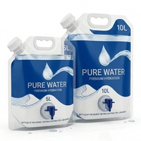 Pochette souple personnalisée avec bec verseur et robinet, sac de stockage d'eau de qualité alimentaire avec poignée, pochette d'emballage liquide pliable OEM ODM