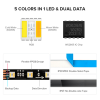 WS2805 RGBCCT SMD5050 Bande de Led 5 en 1 4 broches double fil de données DC24V 60leds/m RGBWW RGBCW Bande de pixels LED numérique adressable