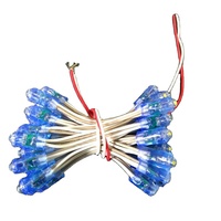 Guirlandes lumineuses à LED de 12 mm, 12 V CC, couleur blanche, 50 LED par chaîne, décorations de Noël permanentes pour l'extérieur, éclairage de carrousel
