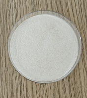 Poudre Probiotique Lyophilisée de Qualité Alimentaire Pediococcus Pentosaceus 200b, 200 Milliards UFC/g, Approvisionnement en Vrac, Usine OEM ODM