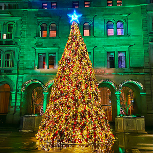 <span class=keywords><strong>Albero</strong></span> di Natale Gigante <span class=keywords><strong>per</strong></span> Esterni da 20ft, 30ft, 40ft, 50ft, 60ft, Decorato <span class=keywords><strong>per</strong></span> Centri Commerciali, di Alta Qualità - Product Image 4