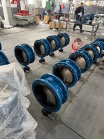 Corps de vanne en fonte ductile, disque de vanne en acier inoxydable SS304, joint résilient doublé PTFE, vanne papillon à bride pour eau, à vis sans fin, DN50-DN600