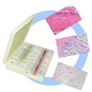 FRT2001, proveedor médico escolar, rebanadas de tejido humano, 100 diapositivas, portaobjetos de microscopio preparados para histología, rebanadas preparadas educativas