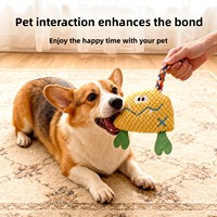 Jouet pour chien en velours côtelé, peluche couineuse, jouet à mâcher résistant pour soulager l'ennui, pour petits et moyens chiens
