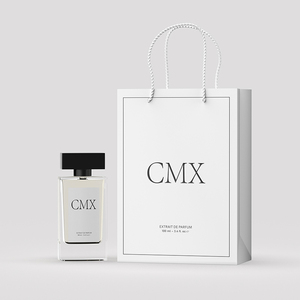 Confezione regalo di lusso con Logo personalizzato <span class=keywords><strong>da</strong></span> 60ml 80ml bottiglie di profumo rettangolari vuote <span class=keywords><strong>da</strong></span> 100ml con confezione e <span class=keywords><strong>borsetta</strong></span> - Product Image 6