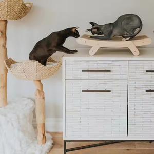 Prezzo all'ingrosso della fabbrica gatto 3 in 1 tiragraffi in legno gatto graffio al letto Lounge staccabile accetta OEM/ODM - Product Image 6