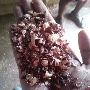 ผงแกลบเม็ดมะม่วงหิมพานต์คุณภาพสูงสำหรับอาหารสัตว์และหญ้าแห้งส่งออกโดยตรงจากเวียดนาม - Product Image 2