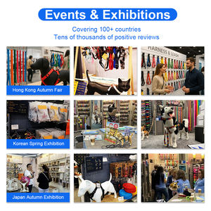 Dây Dẫn Thú Cưng Tính Năng Cao QCool, Kết Cấu Nylon Tăng Cường Với Chức Năng Chống Nước, Chế Độ Hỗ Trợ LED, Dành Cho Khách Hàng ODM Toàn Cầu, Có Thể Tùy Chỉnh, Chống Nước, Kiểu Dáng Chiến Thuật - Product Image 3