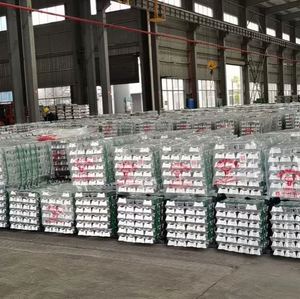 99.90% 99.95% 99.98% 99.99% Magnesium <b>Ingots</b> From CN for Manufacturing Magnesium Alloy and Magnesium Aluminum Alloy - Product Image 6