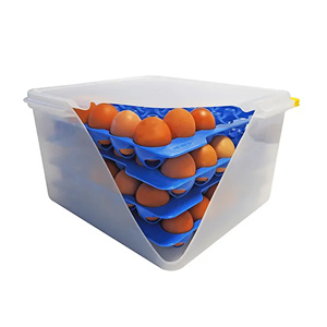 Contenitore per Uova Araven GN 2/3 con 4 Scomparti, 30 Posti, 35.4X32.5X20h per Conservazione Sicura degli Alimenti in Cucina - Product Image 2