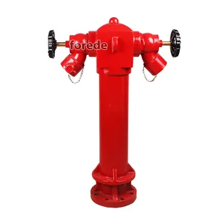 Wet Pillar Type 2 Way Fire Hydrant for FireFighting