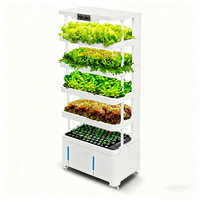Système de culture vertical aquaponique SKYPLANT intelligent et économique en plastique PP à 4 couches - Système hydroponique avec éclairage LED pour plantes et poissons