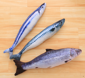 Gố<span class=keywords><strong>i</strong></span> <span class=keywords><strong>Catnip</strong></span> Dancing Cá Mèo Đồ Chơ<span class=keywords><strong>I</strong></span> Mèo Vỗ Kicker Tương Tác Cá Đồ Chơ<span class=keywords><strong>i</strong></span> Cho Mèo - Product Image 6