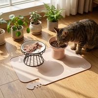 Bol pour chat en céramique de style nordique, surélevé, anti-renversement, anti-déversement, plat et large, avec support métallique, pour chats à mow-ou court