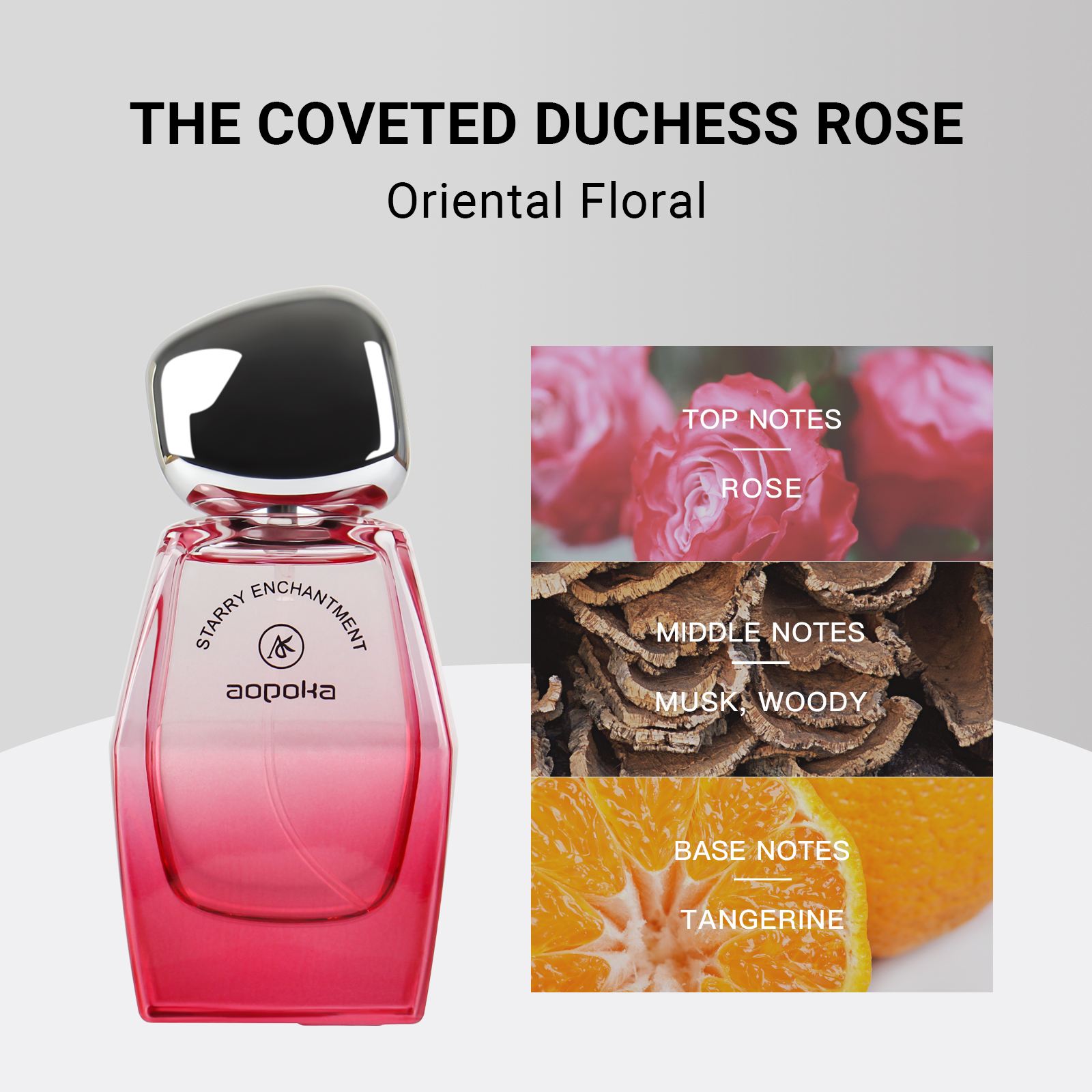 A3019-101   เอ3019-101