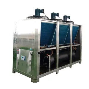 Refroidisseur d'eau industriel en acier inoxydable, glacière pour plantes, circulation d'eau