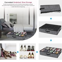 Organisateur de chaussures pour salon, solution de rangement robuste, pliable, en polyester, bacs et boîtes de rangement modernes et transparents