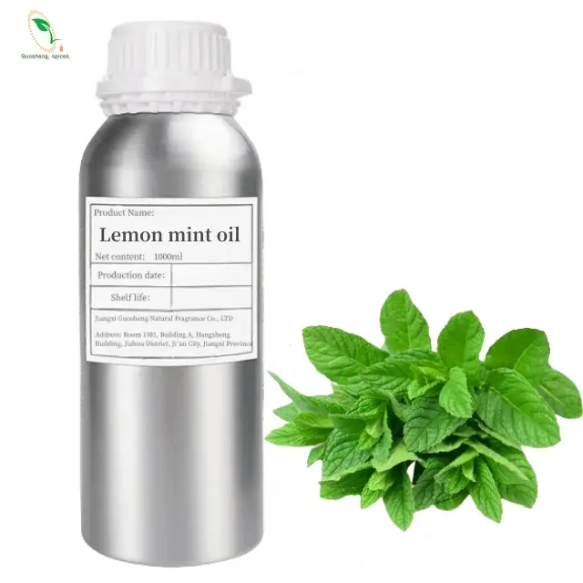 Organic Bergamot Mint Oil 100ml Produto de cuidados com a pele para tratamento anti-envelhecimento e perda de peso e removedor cabeça preta