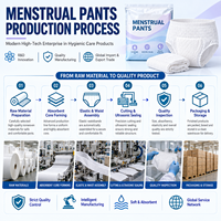 28 boîtes de culottes menstruelles à haute absorption, confort toute la nuit, protection anti-fuites, soins menstruels pour femmes, sous-vêtements menstruels