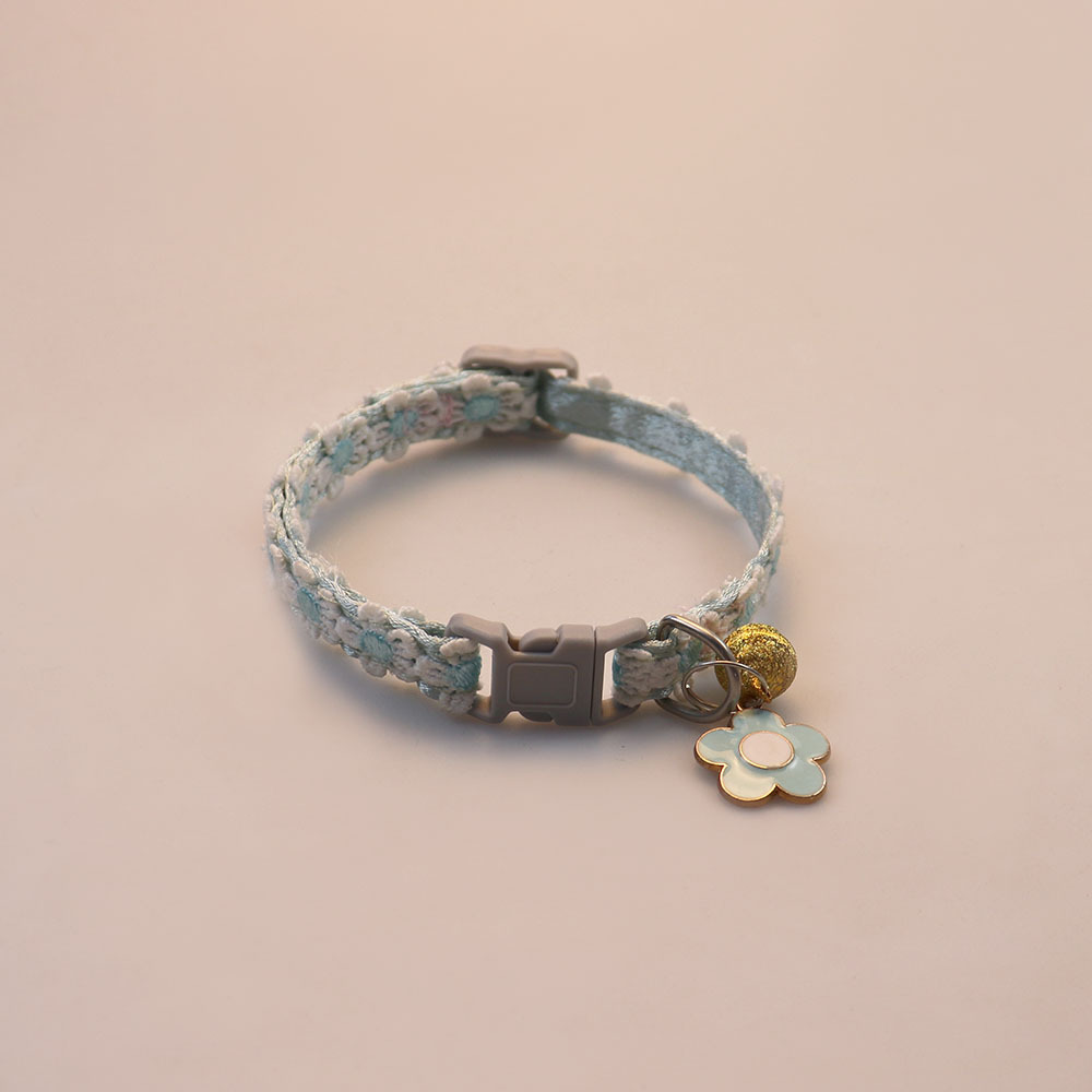 5 สีสันสดใส