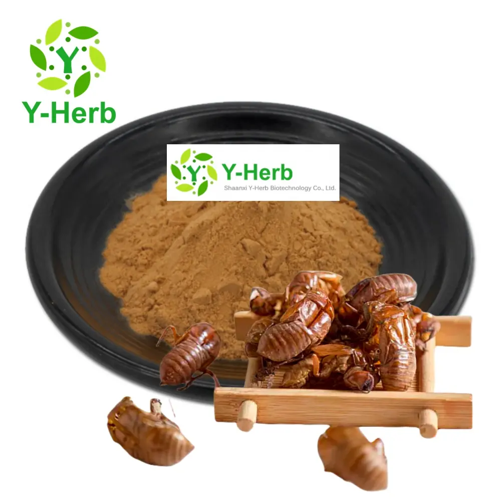 Y-Herb Supply Pure Bulk Chan Tui Extract 10:1 Cicada Shell/Cicada Slough/Periostracum Cicada Extract