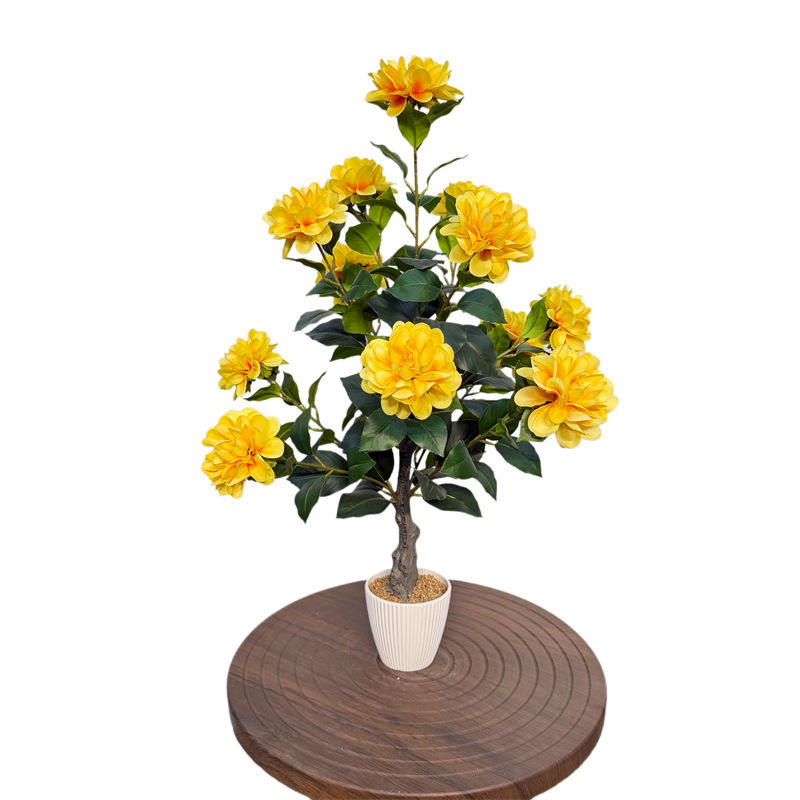 ดอกไม้หอมกลิ่นเข้ม