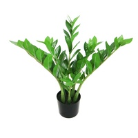 Vente en gros de plantes artificielles Zamiifolia de 53 cm de hauteur, faux bonsaï Zamiifolia