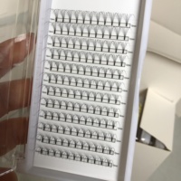 Cils en fibre de soie PBT coréens 2D 3D 4D 5D faits à la main, noir intense, courbures C D L M J B, racine courte, éventails pré-faits 0.1