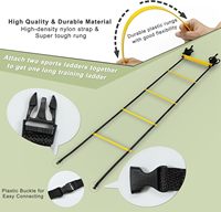 Échelle d'agilité réglable, vente en gros directe usine, durable pour l'entraînement de vitesse, 6m (20ft)