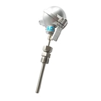 Thermocouple K-Type S-Type Capteur De Température Pt100 Rh Pt Type S Thermocouple Avec Tube En Céramique