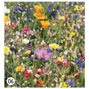 Cordón de papel con semillas, gadgets ecológicos - Product Image 2