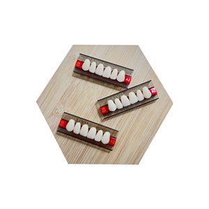 Dentadura de resina sintética de dos capas Anterior personalizada de fábrica <span class=keywords><strong>CAIYU</strong></span>, certificado CE ISO, accesorios de equipo de terapia oral Manual - Product Image 4