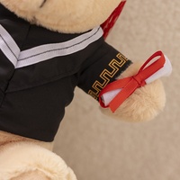 Songshan jouets personnalisé imprimé logo de l'école mignon docteur doux ours animal en peluche Graduation ours en peluche jouets en peluche cadeaux pour étudiant